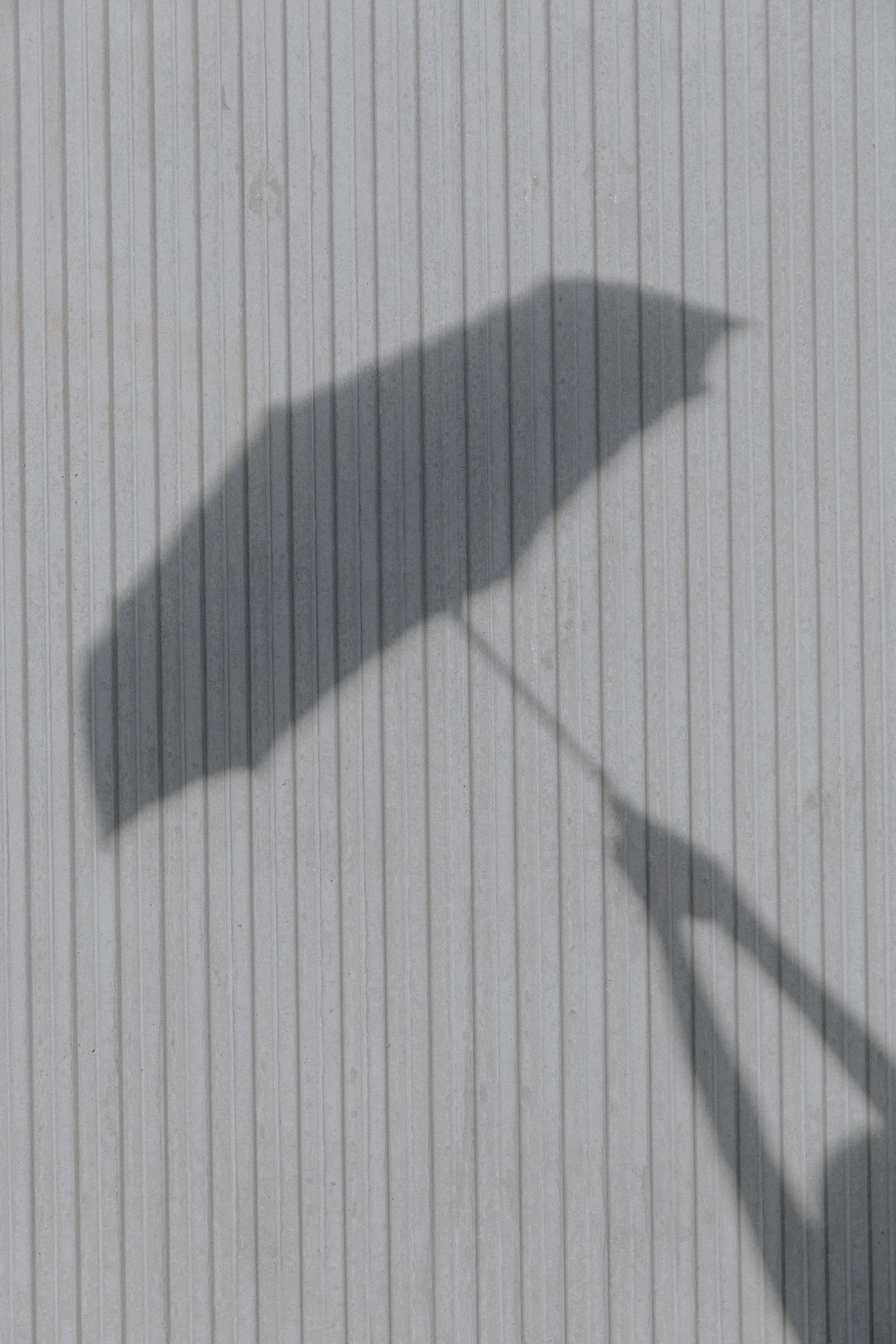 Throwing Shade Since Forever: A Love Letter to the Sun Umbrella